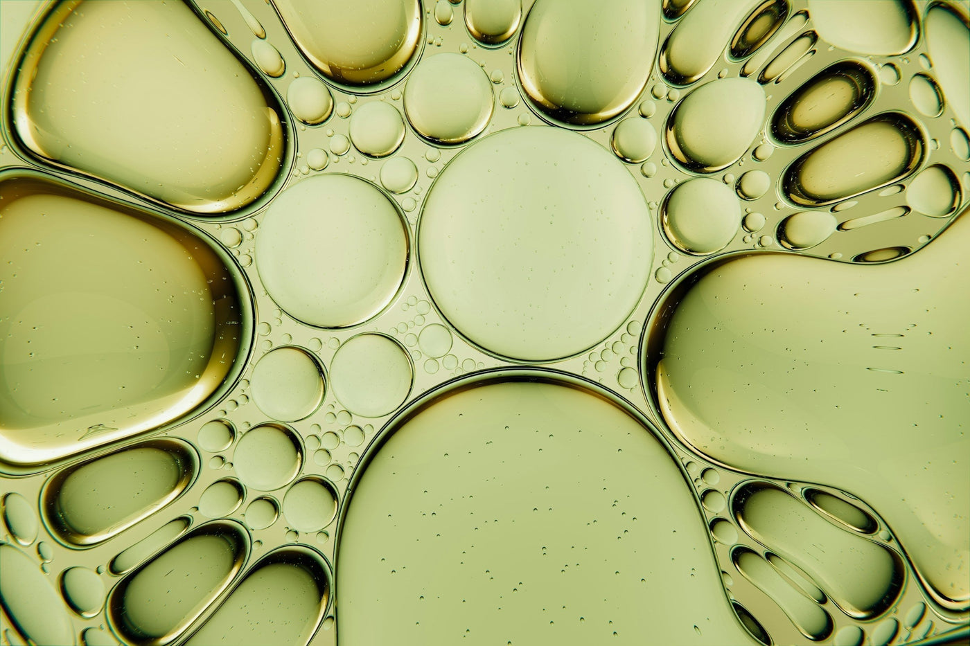 Squalane: The Softness Skin Remembers