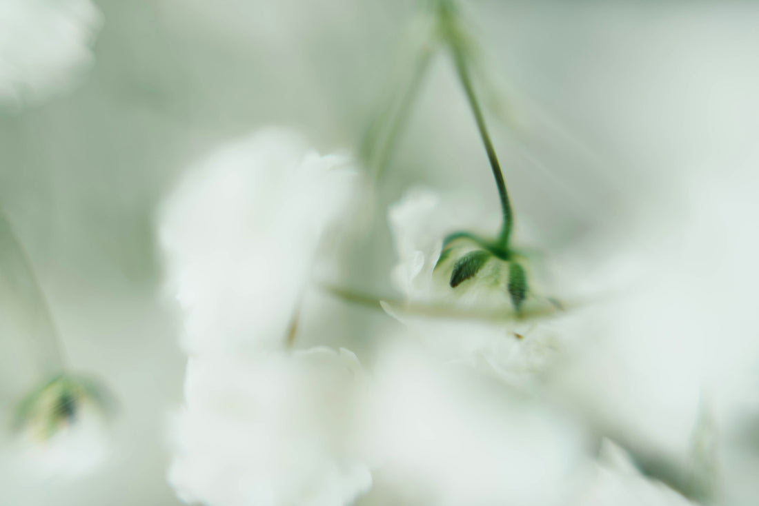 The Discipline of Gentleness