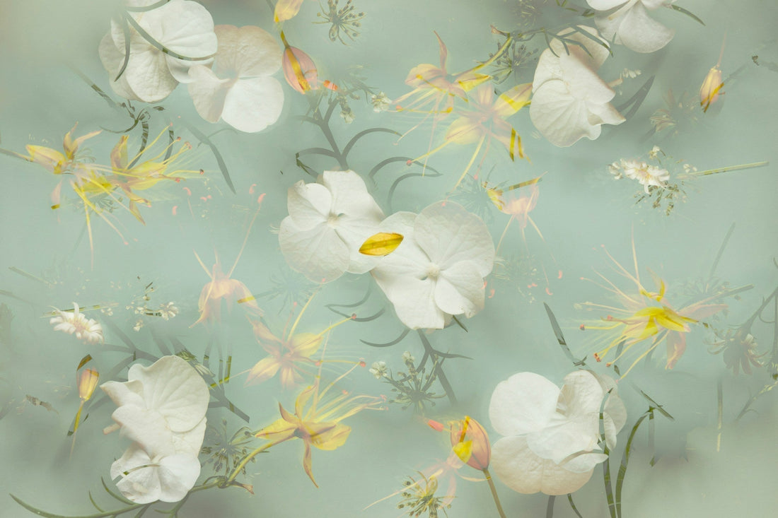 The Science of Low-Interference: Why Skin Often Benefits From Less, Not More