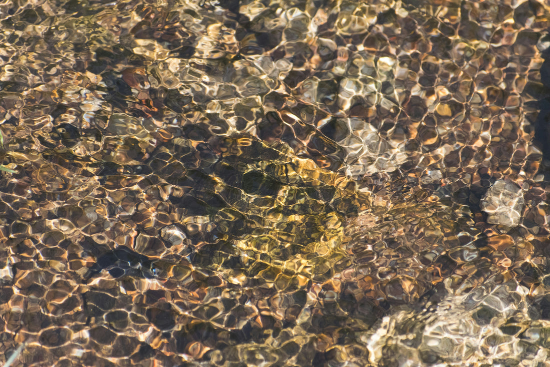 Before the Mirror, There Was Water