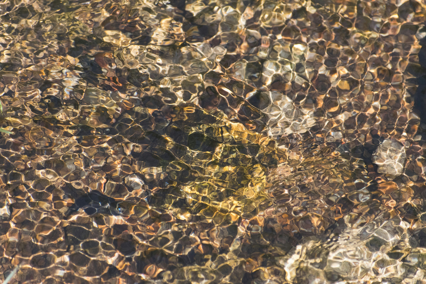 Before the Mirror, There Was Water