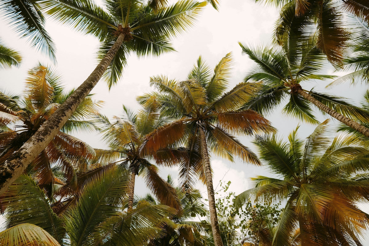 Gentle Skincare for Tropical Weather: A Filipino Perspective